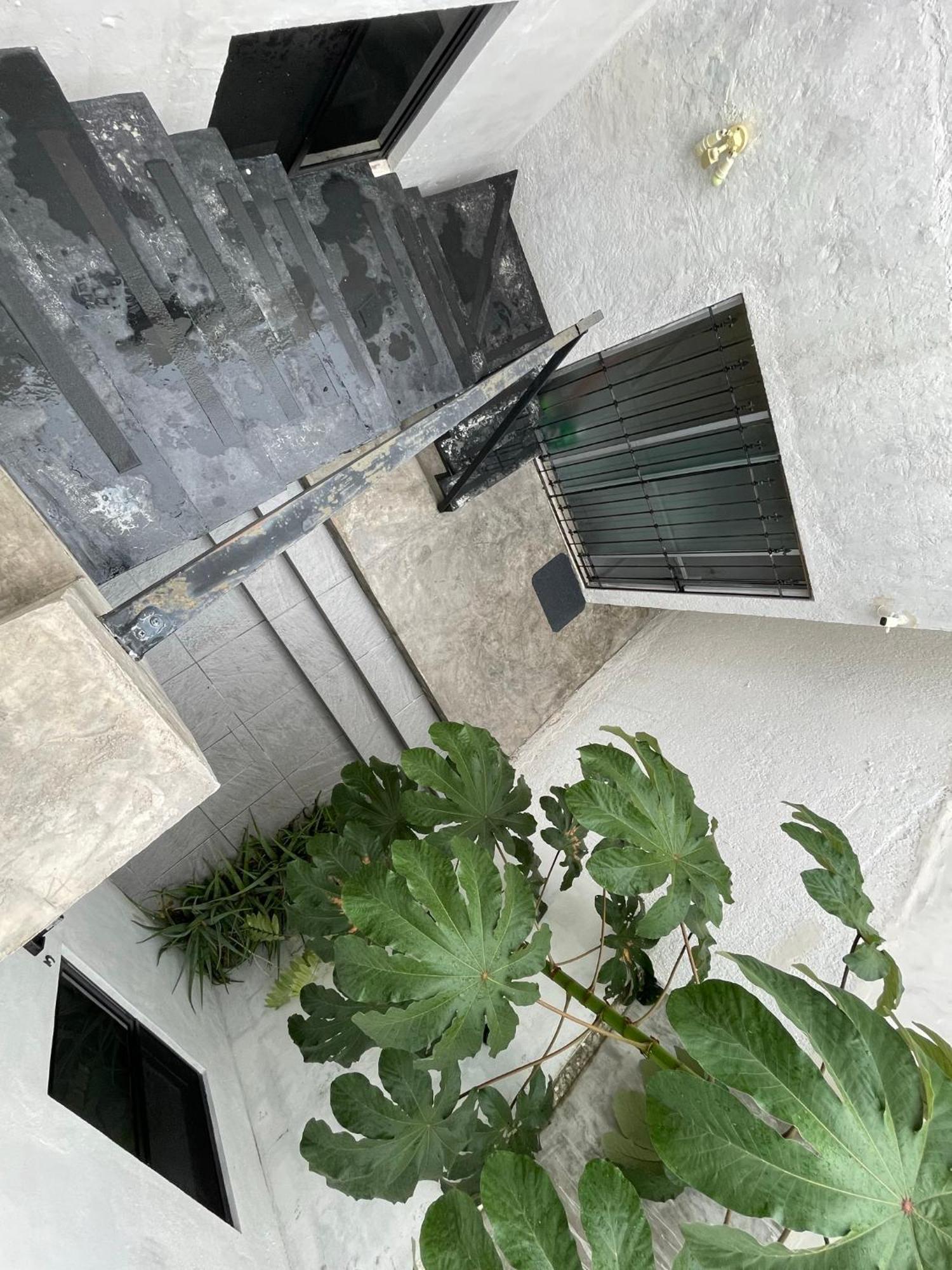 Casa Y Departamentos Lavanda Merida Exterior photo